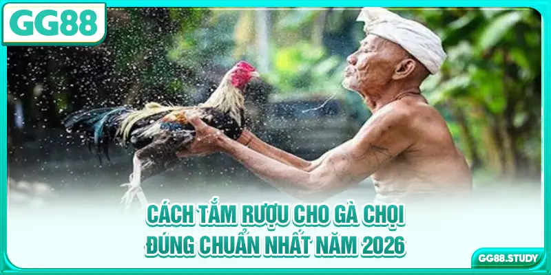 cach-tam-ruou-cho-ga-choi-dung-chuan-nhat-nam-2026