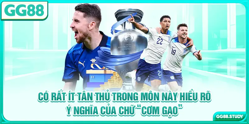 Có rất ít tân thủ trong môn này hiểu rõ ý nghĩa của chữ “cơm gạo”