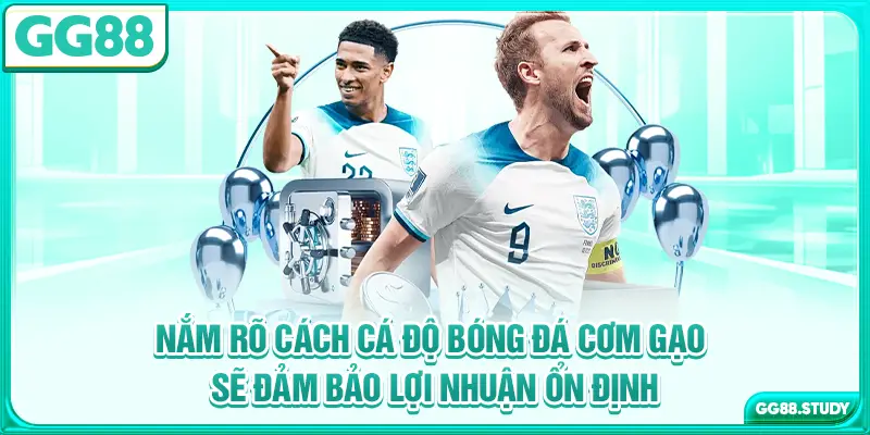 Nắm rõ cách cá độ bóng đá cơm gạo sẽ đảm bảo lợi nhuận ổn định
