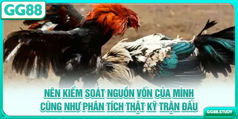 Nên kiểm soát nguồn vốn của mình cũng như phân tích thật kỹ trận đấu