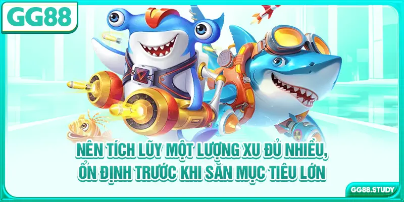 Nên tích lũy một lượng xu đủ nhiều, ổn định trước khi săn mục tiêu lớn