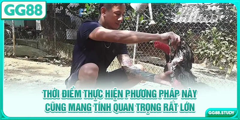 Thời điểm thực hiện phương pháp này cũng mang tính quan trọng rất lớn