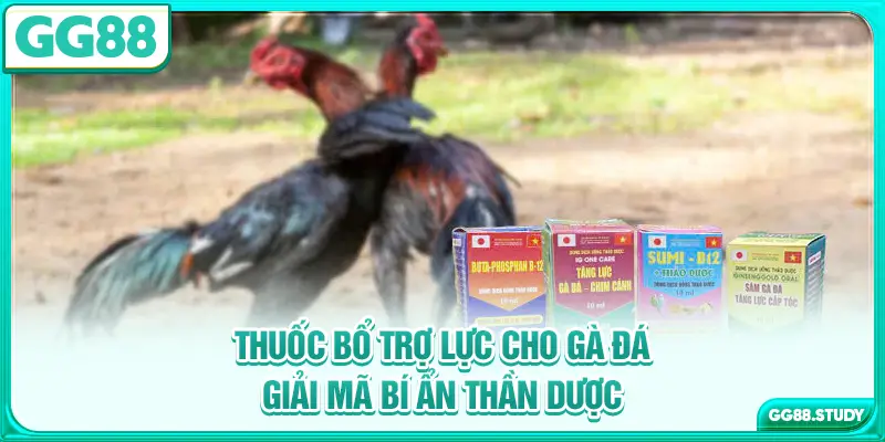 thuoc-bo-tro-luc-cho-ga-da-giai-ma-bi-an-than-duoc